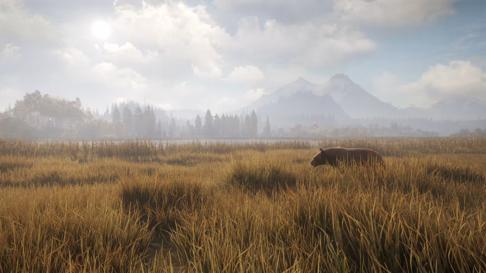 猎人：荒野的召唤/theHunter: Call of the Wild-2