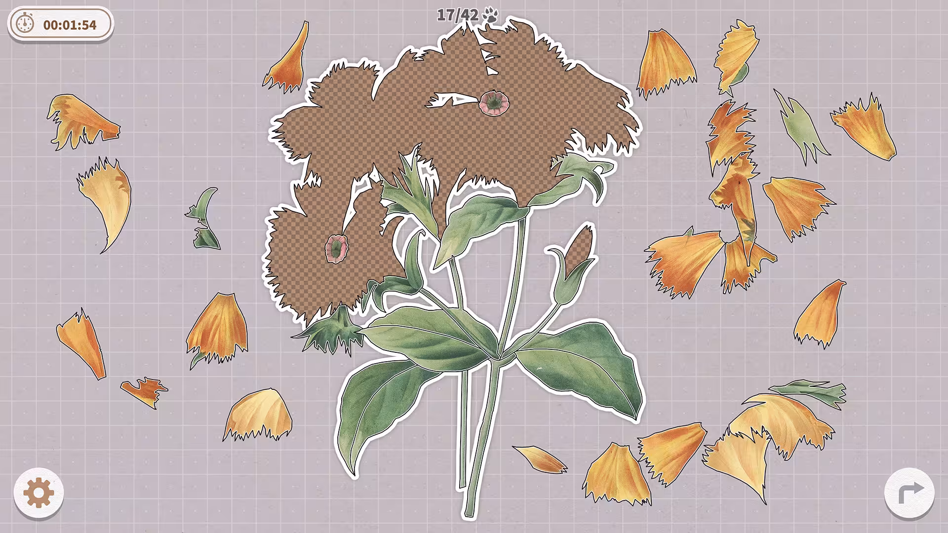 挤在一起的植物/Plants Huddled Together-5 挤在一起的植物/Plants Huddled Together-5