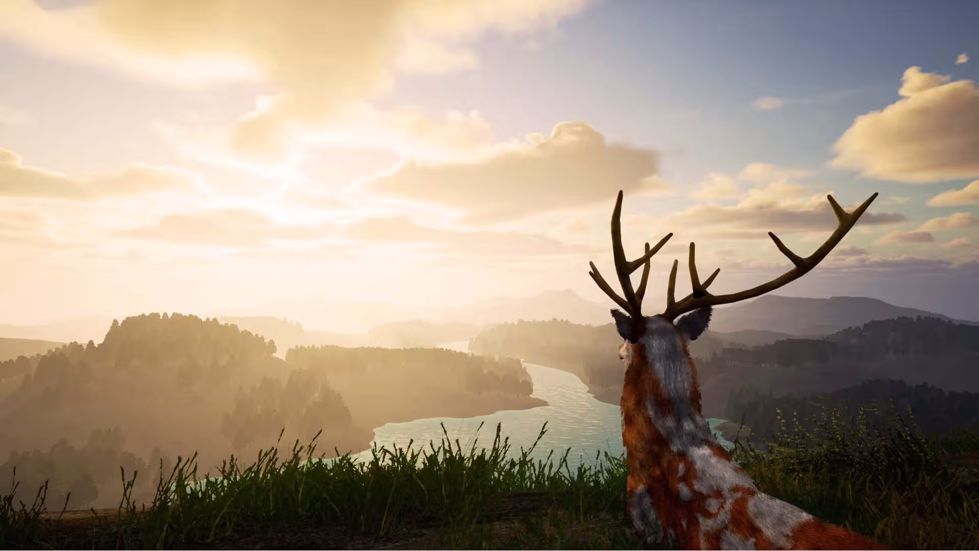 鹿之旅/Deer Journey-6 鹿之旅/Deer Journey-6
