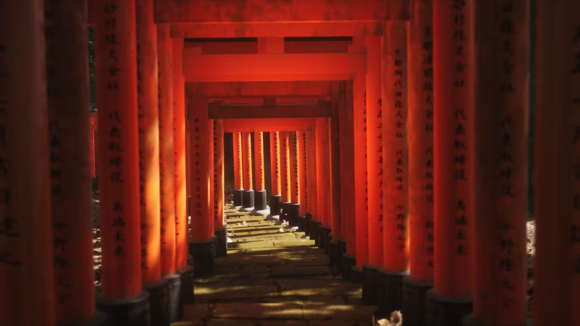 模拟美景摄影/Lushfoil Photography Sim-2 模拟美景摄影/Lushfoil Photography Sim-2