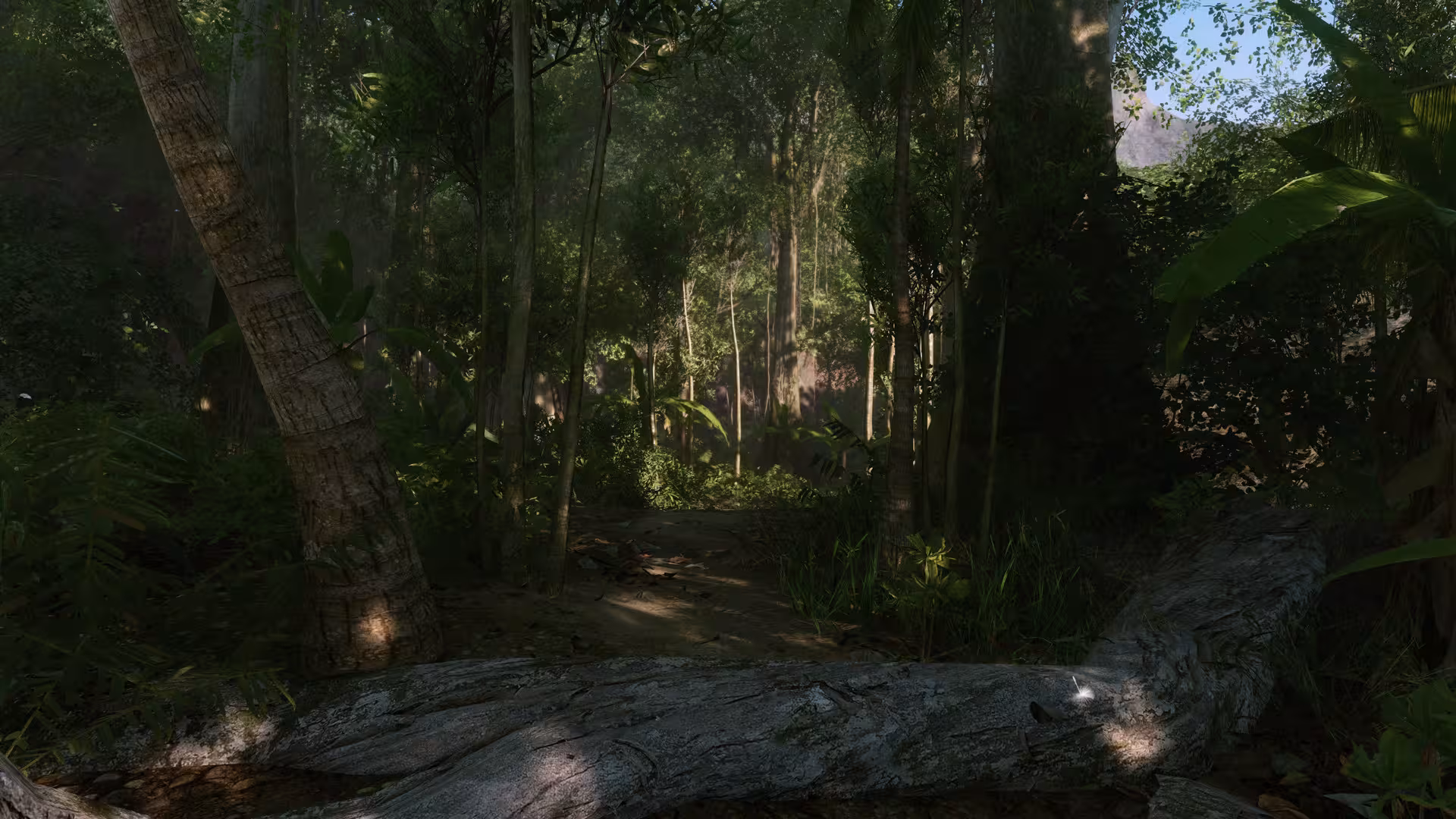孤岛危机：重制版/Crysis Remastered-4