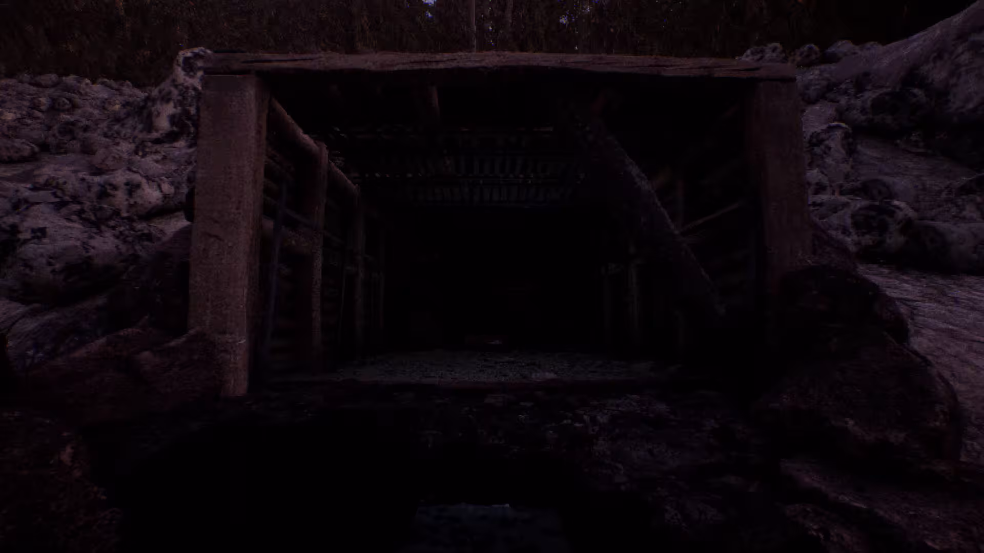 凝视之林：虱子/The Watching Woods: The Louse-5