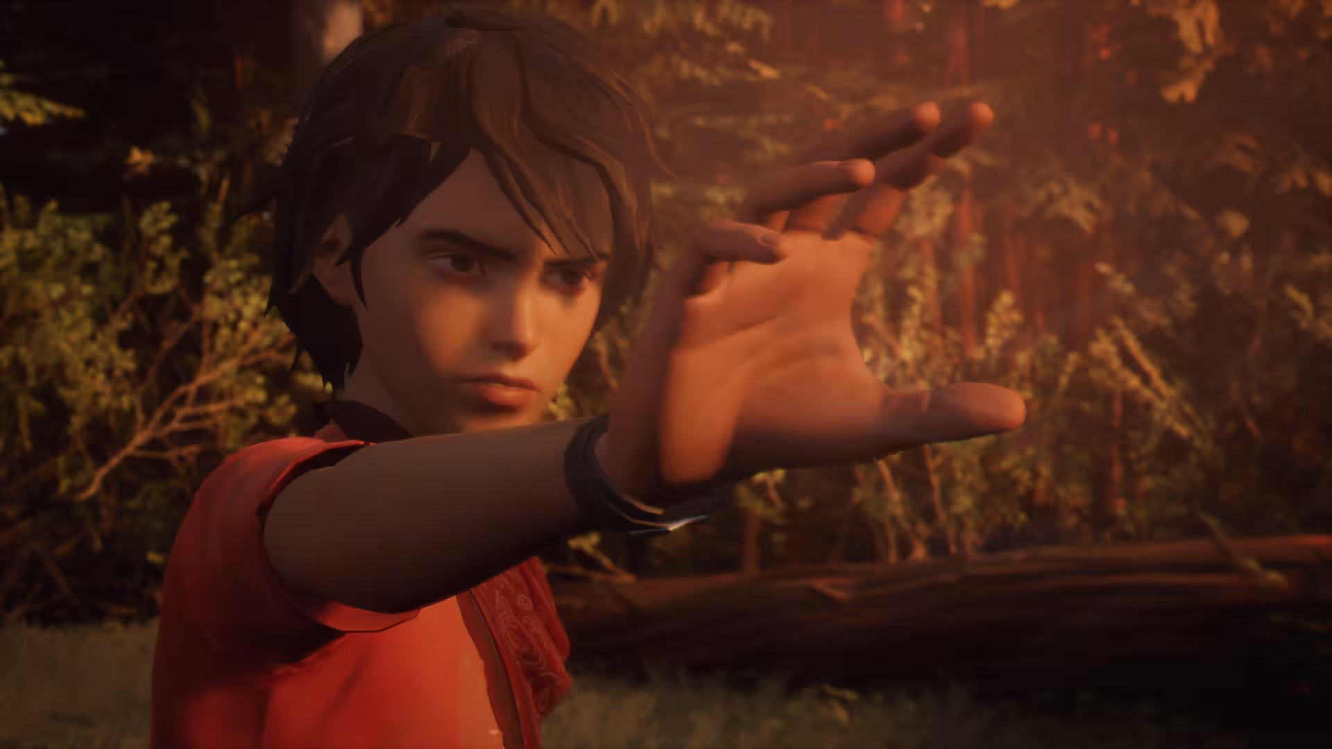 奇异人生2/Life is Strange 2-1 奇异人生2/Life is Strange 2-1