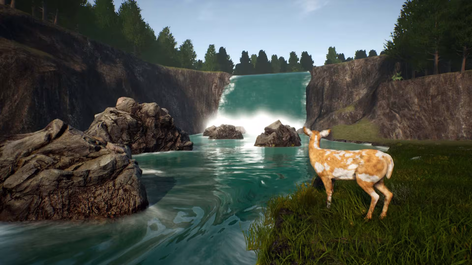 鹿之旅/Deer Journey-4 鹿之旅/Deer Journey-4