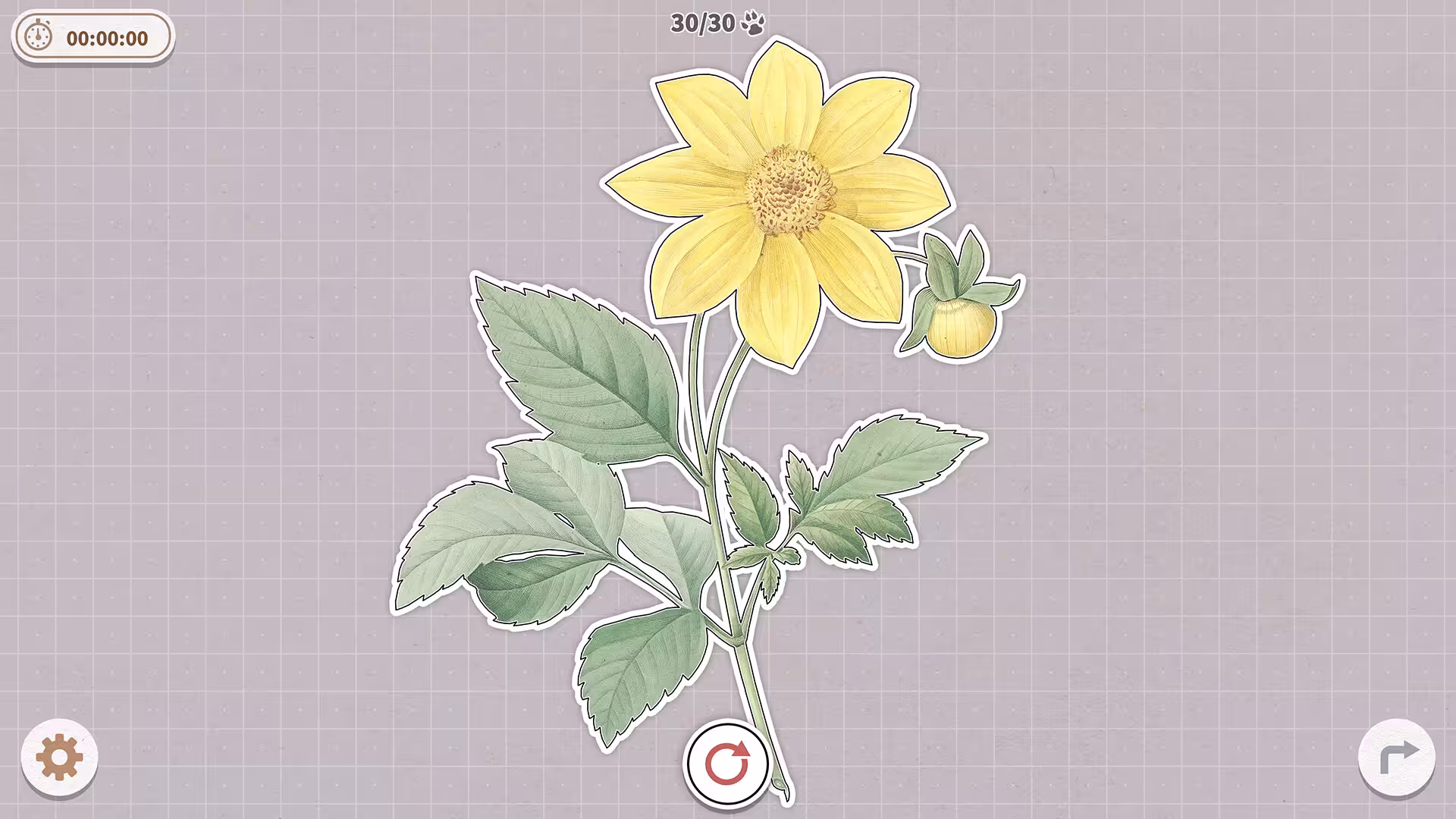 挤在一起的植物/Plants Huddled Together-2 挤在一起的植物/Plants Huddled Together-2