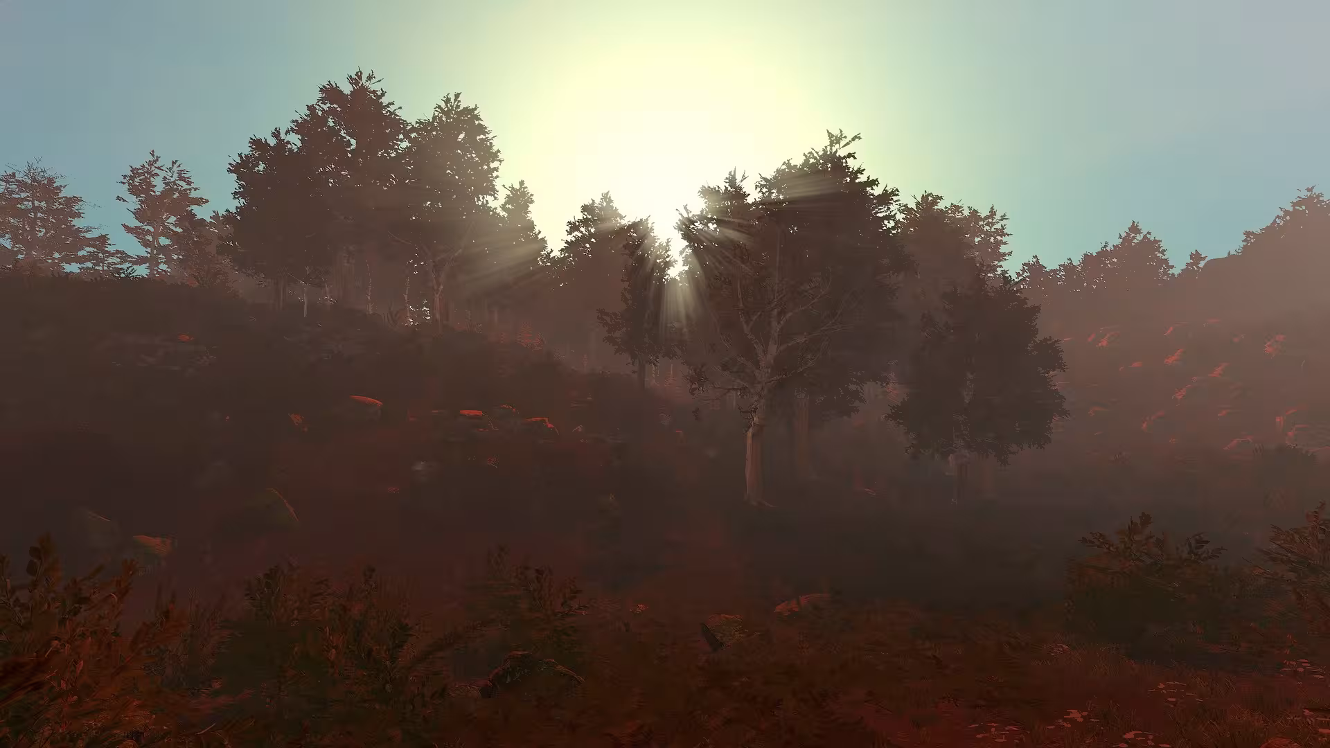 荒野的试炼/Trials of Wilderness-6 荒野的试炼/Trials of Wilderness-6