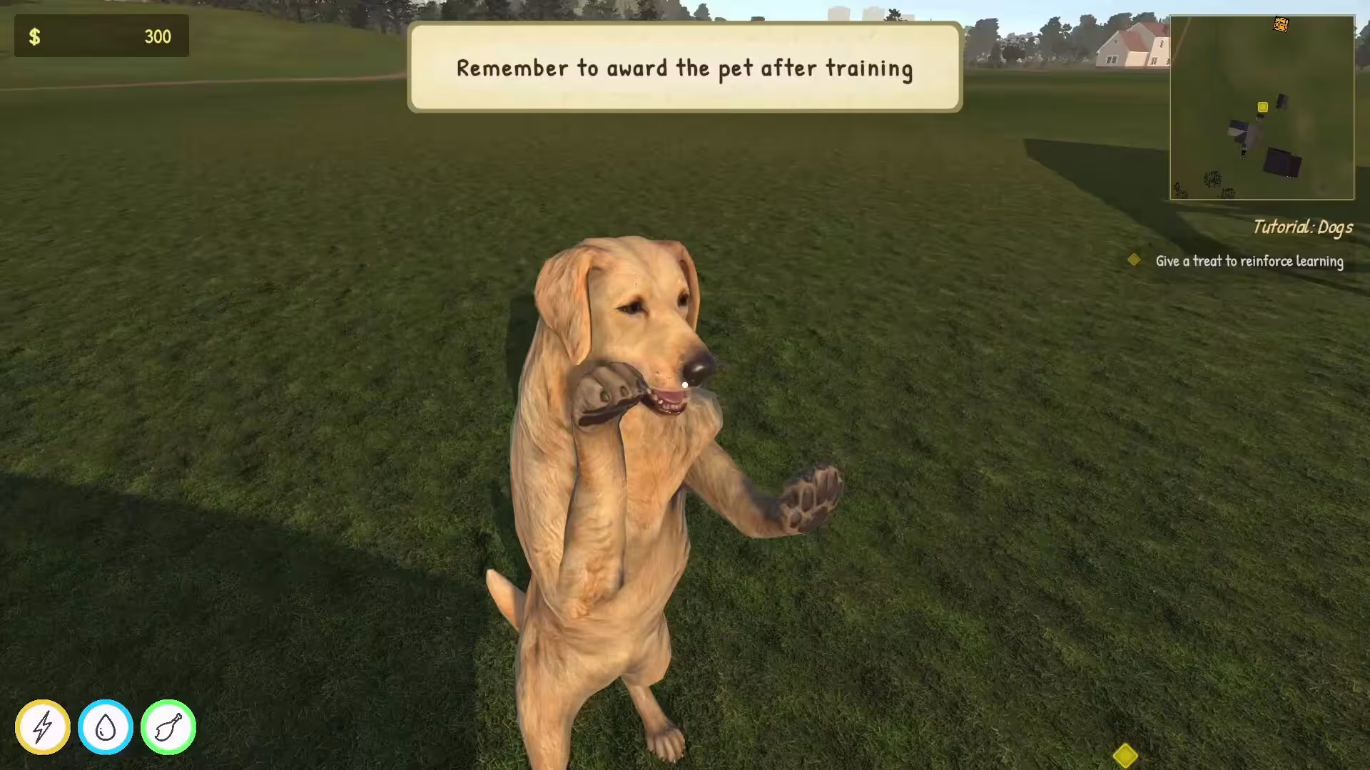 动物训导师模拟器/Animal Trainer Simulator-6 动物训导师模拟器/Animal Trainer Simulator-6