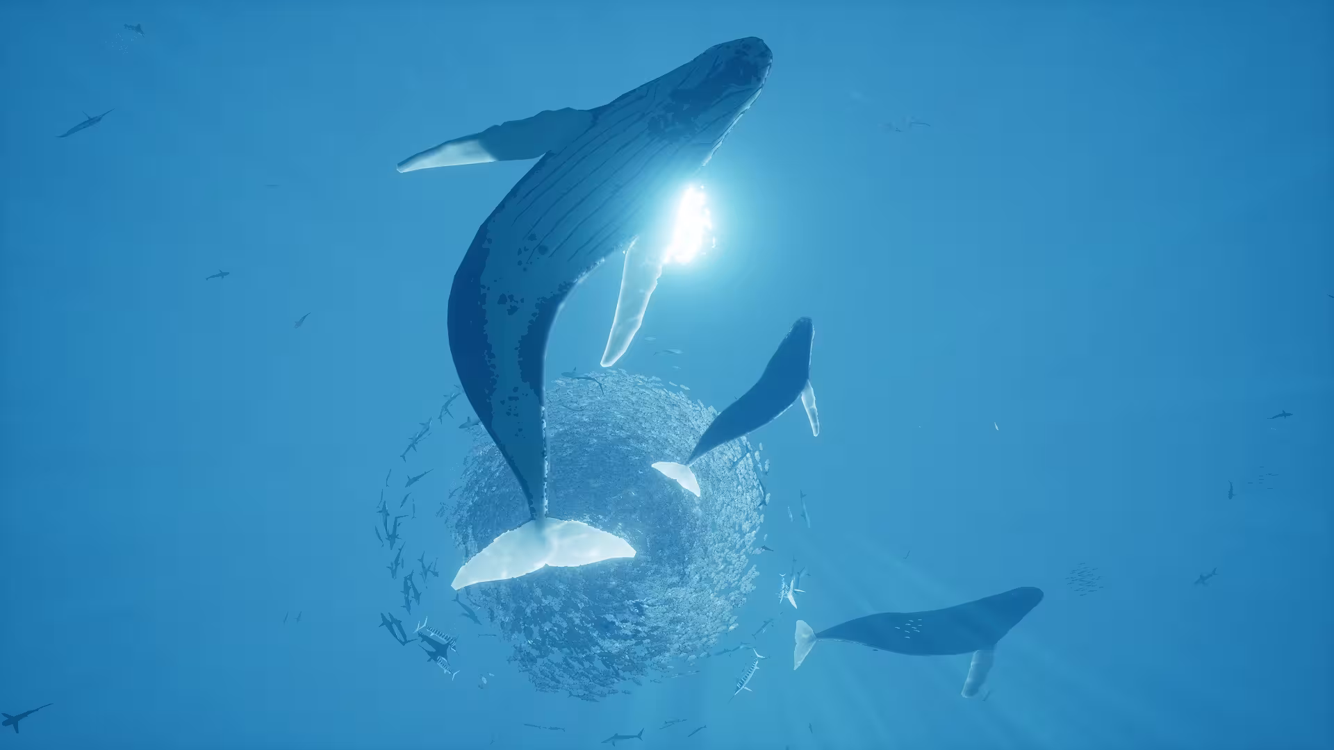 智慧之海/海洋探索/深海探险/ABZU-3 智慧之海/海洋探索/深海探险/ABZU-3