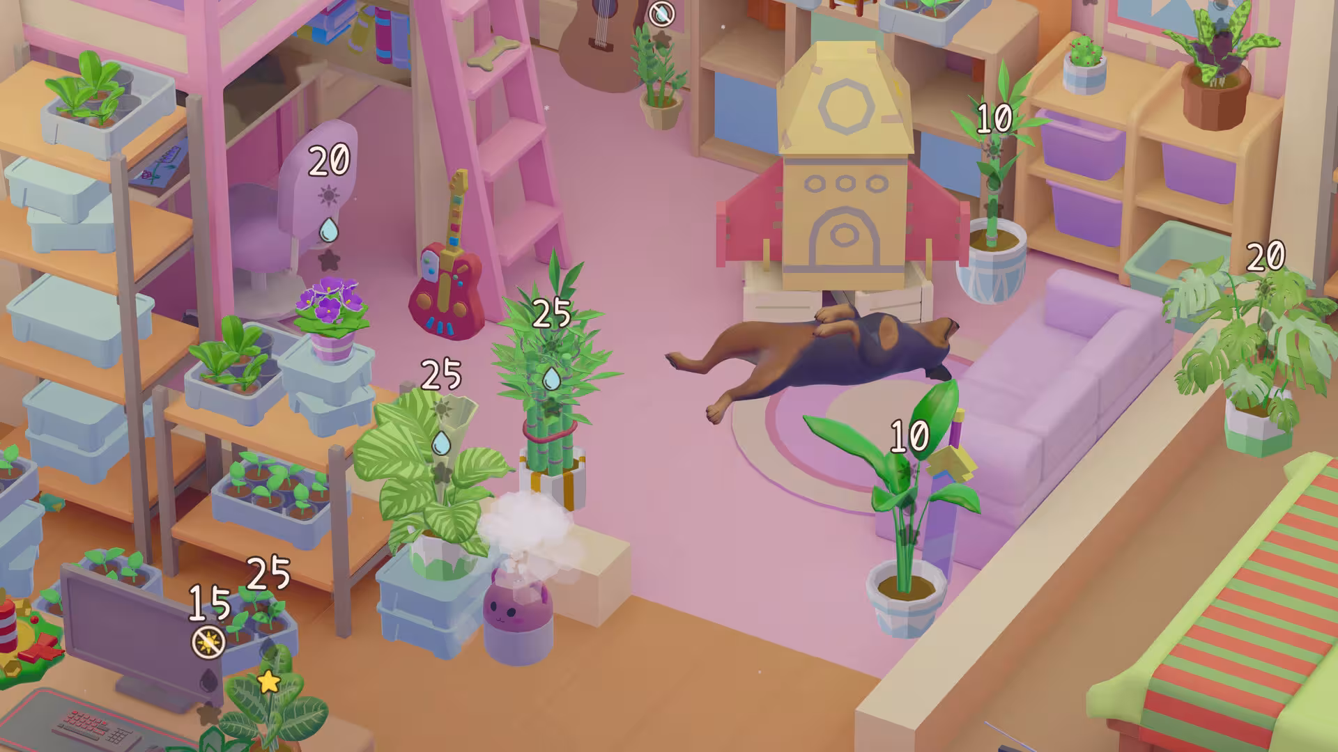 我的小绿屋/Urban Jungle-3 我的小绿屋/Urban Jungle-3