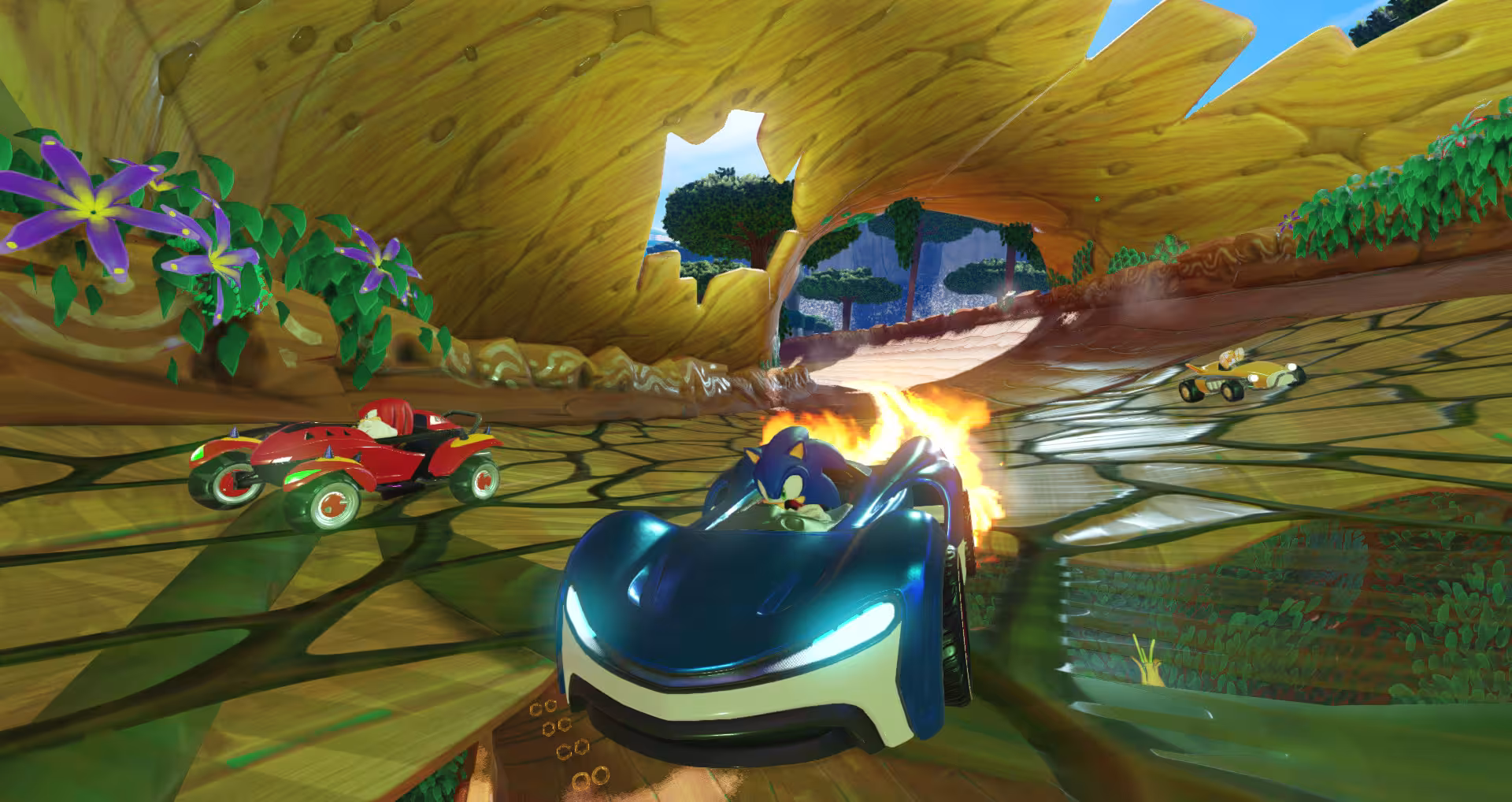 团队索尼克赛车/索尼克团队赛车/Team Sonic Racing-3