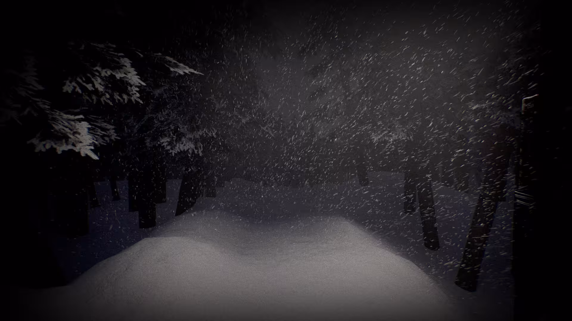 苍白沉寂/White Silence-2