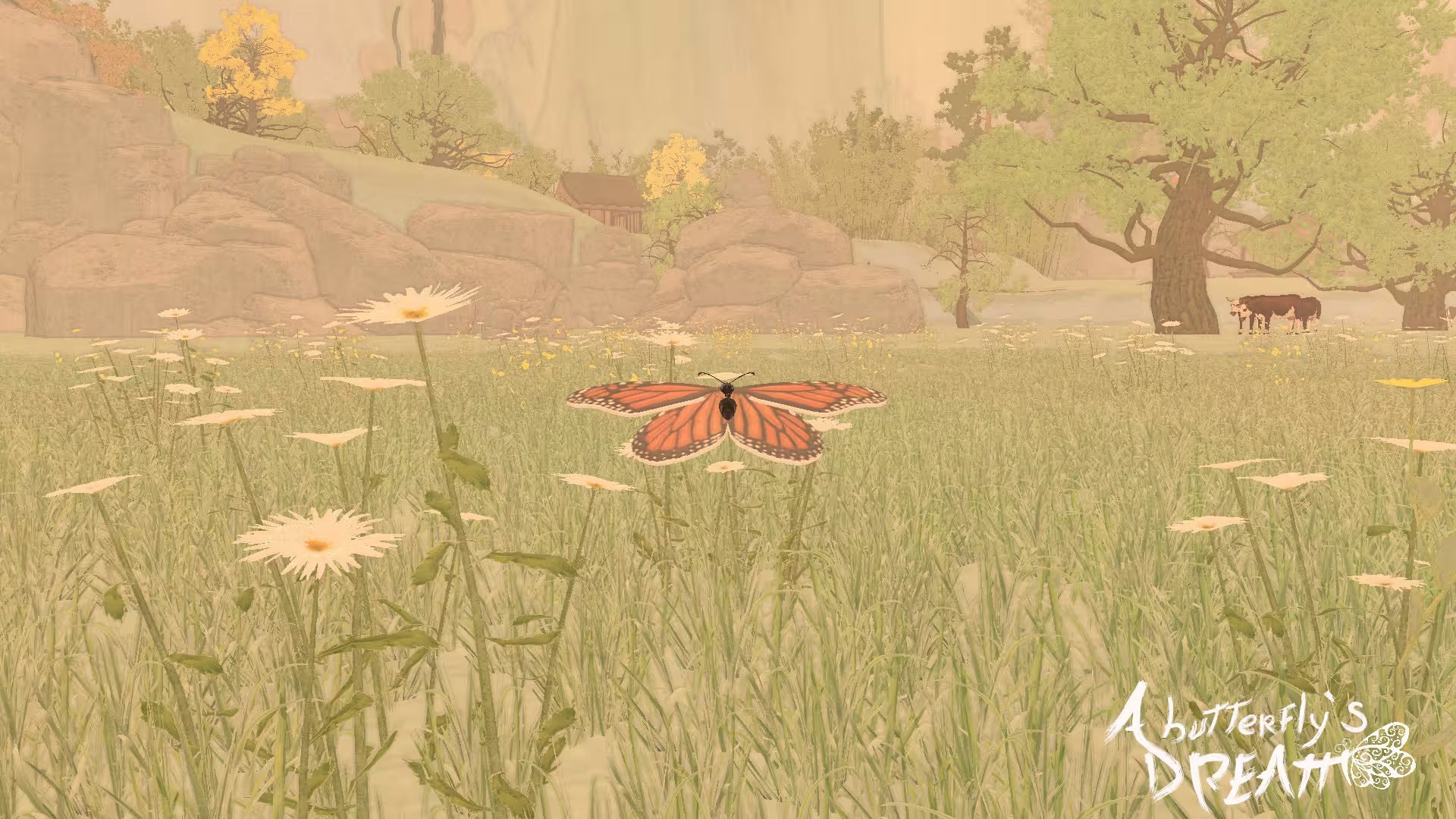 蝴蝶梦/A Butterfly's Dream-1 蝴蝶梦/A Butterfly's Dream-1