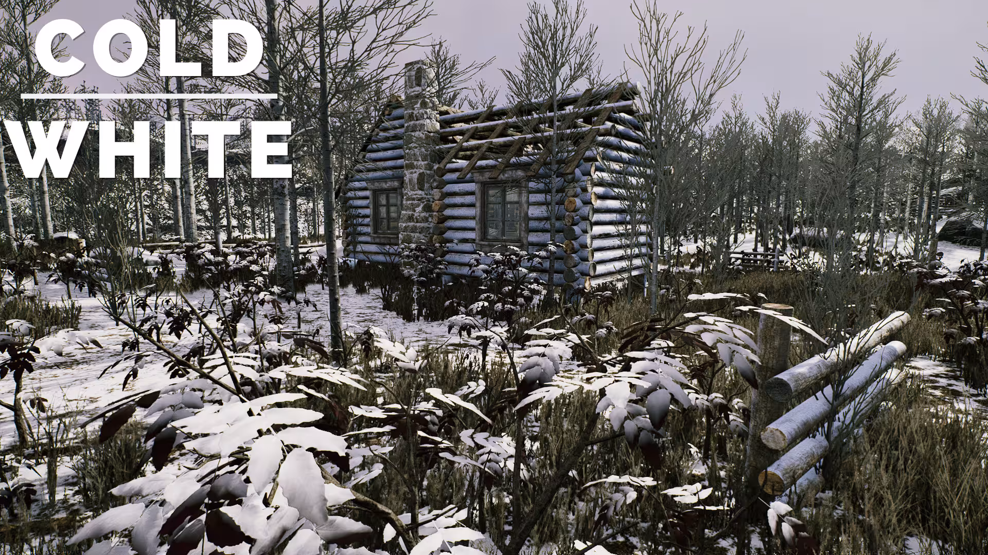 冷白/The Cold White-1