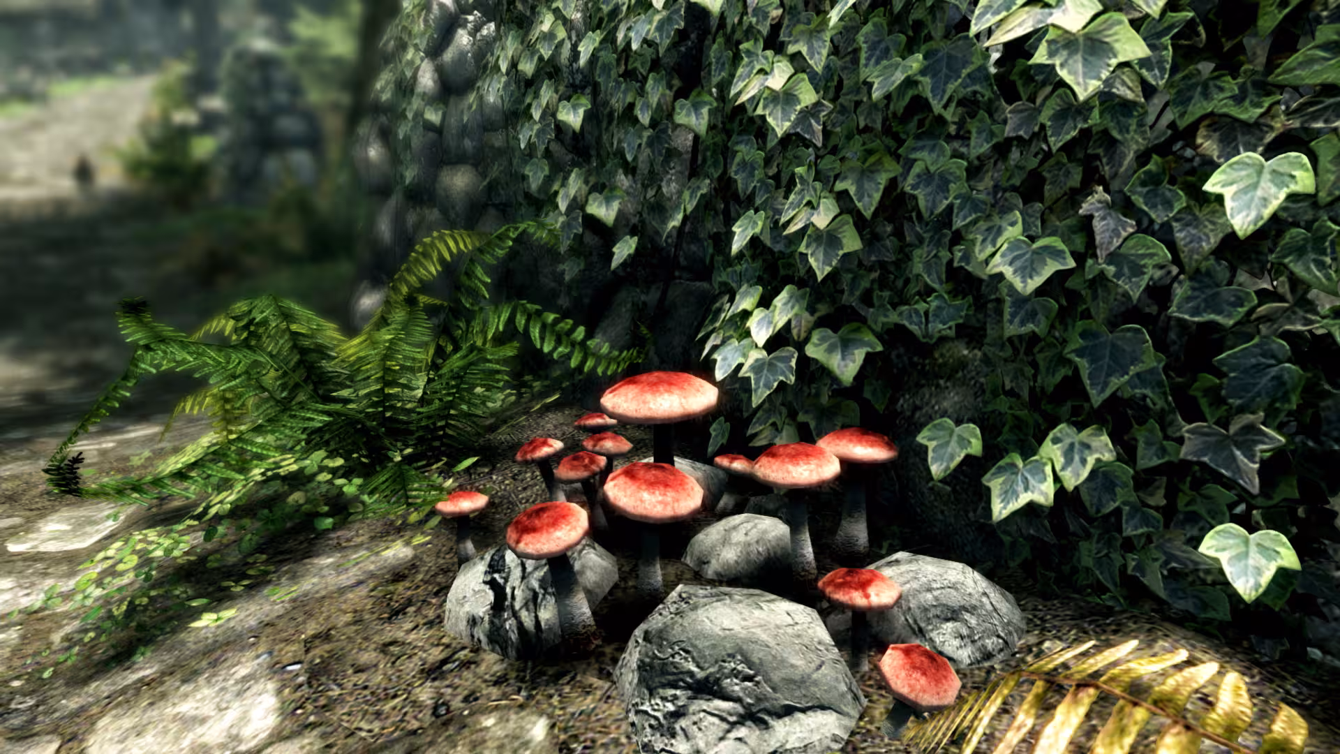 上古卷轴5：周年纪念版/上古卷轴5：天际10周年重制版/The Elder Scrolls V: Skyrim Special Edition-6