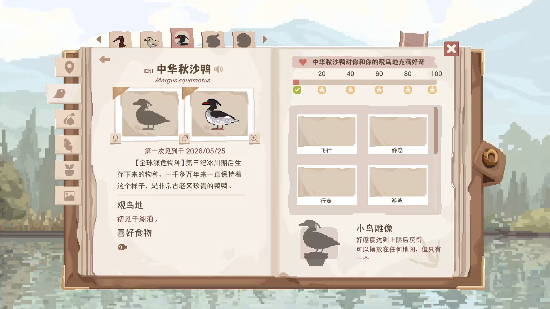 观鸟笔记/Birdwatching Notebook-6