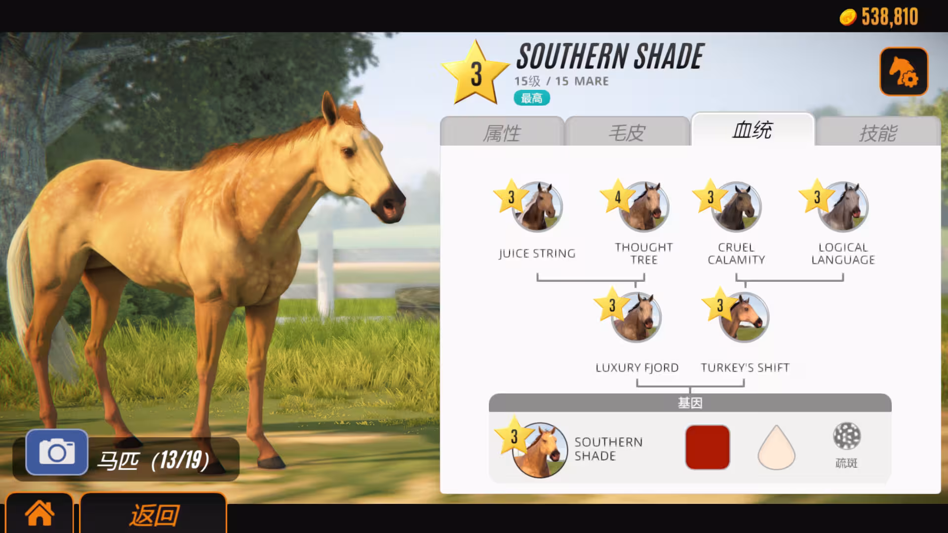 家族传奇：马匹养成竞技/Rival Stars Horse Racing: Desktop Edition-6