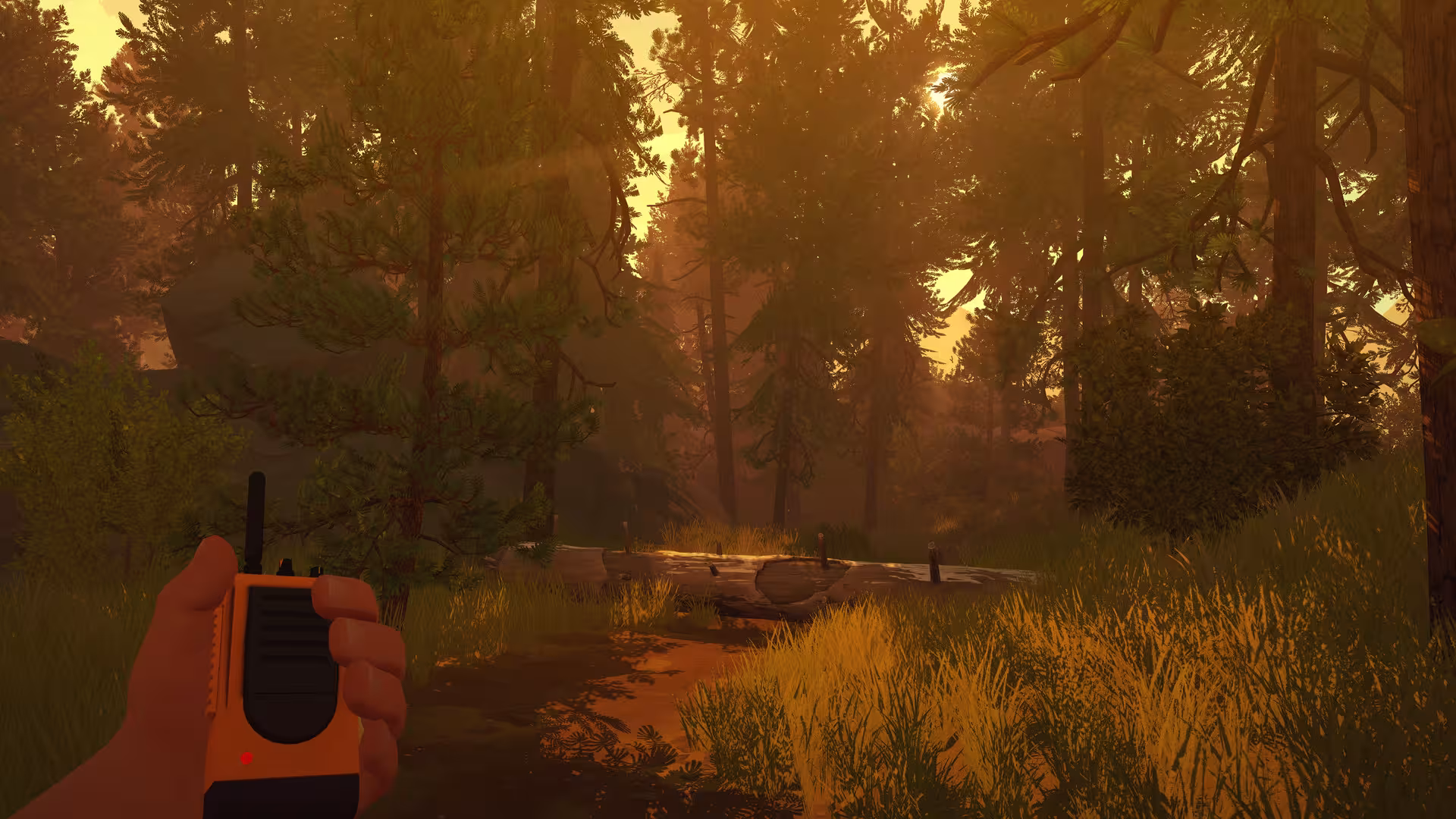 看火人/Firewatch-3