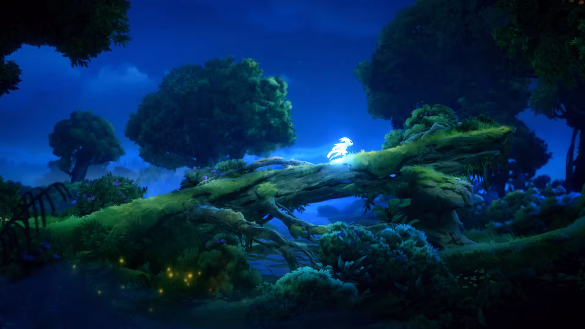 奥日与鬼火意志/Ori and the Will of the Wisps-6