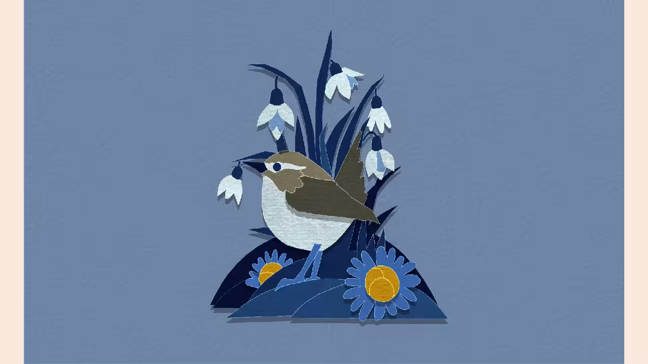 剪纸美术馆-自然/Papercut Art Gallery-Nature-2