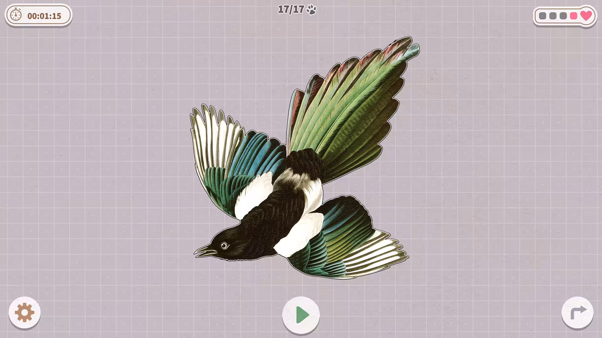 挤在一起的鸟鸟/Birds Huddled Together-2 挤在一起的鸟鸟/Birds Huddled Together-2