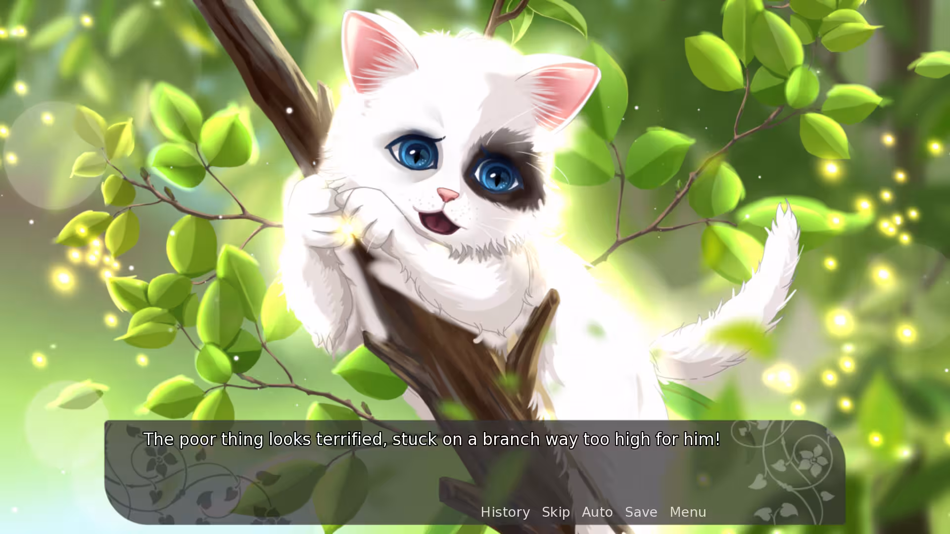 我的漂亮猫咪:白雪/My Fair Cat: Snow-3 我的漂亮猫咪:白雪/My Fair Cat: Snow-3