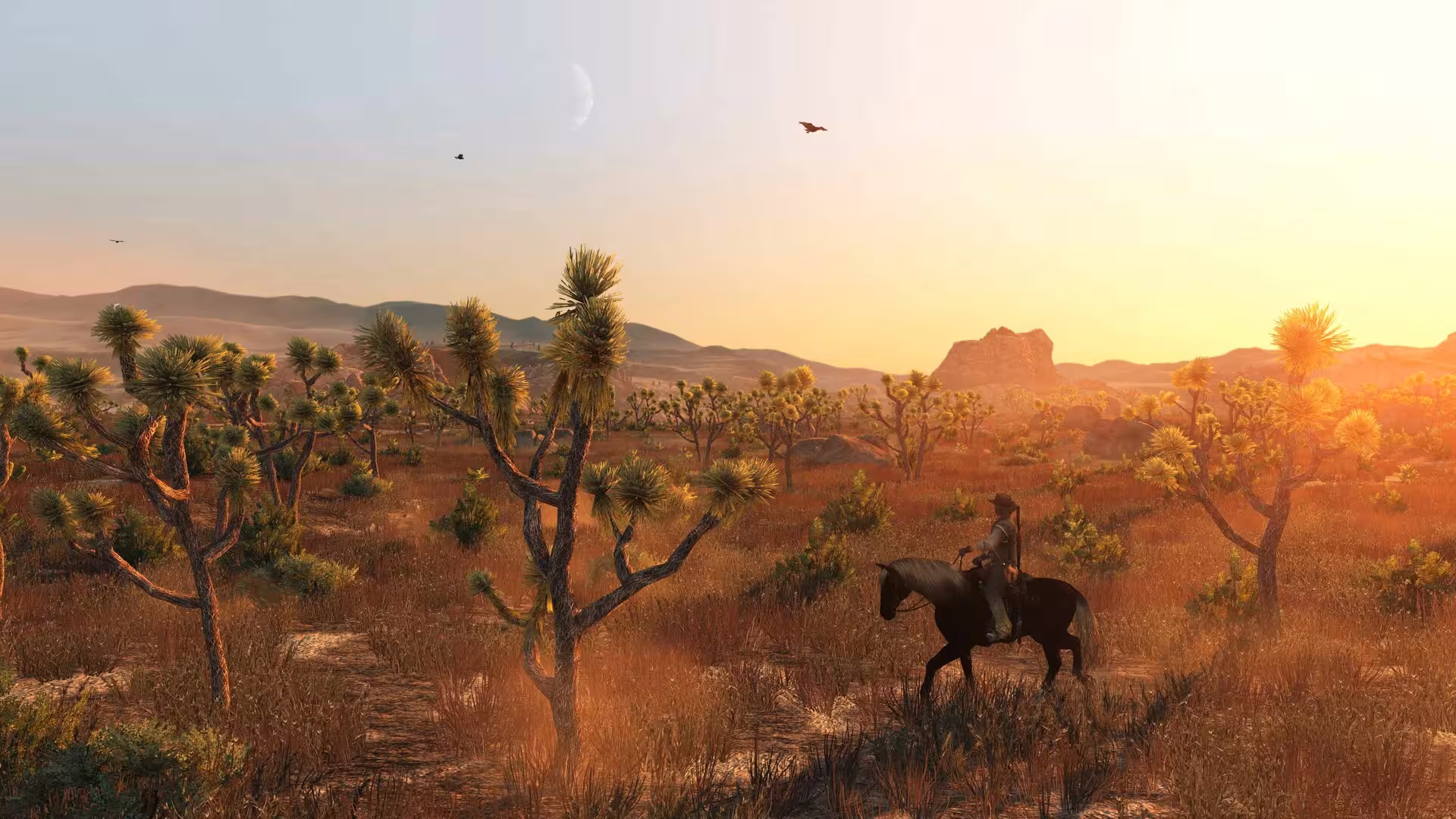 荒野大镖客：救赎画质增强版/Red Dead Redemption Modded-4