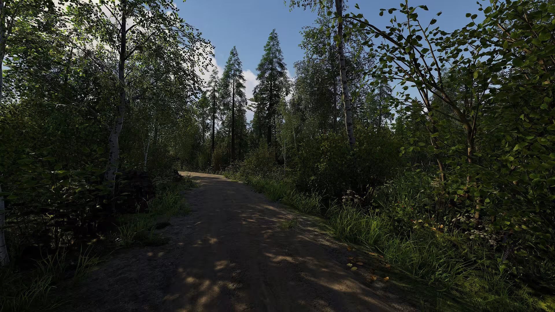 芬兰小屋模拟器/Finnish Cottage Simulator-3
