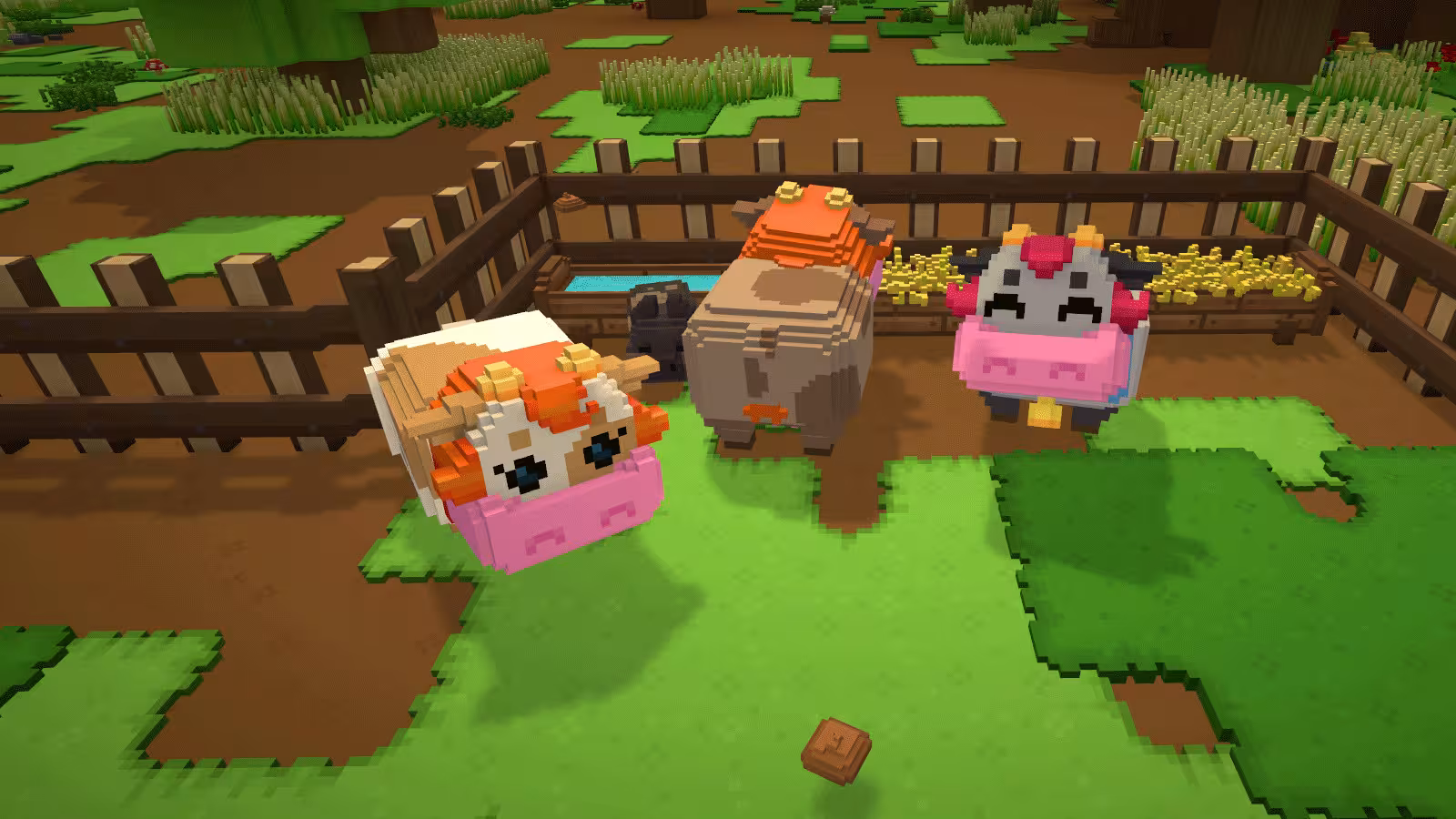 Staxel-5 Staxel-5