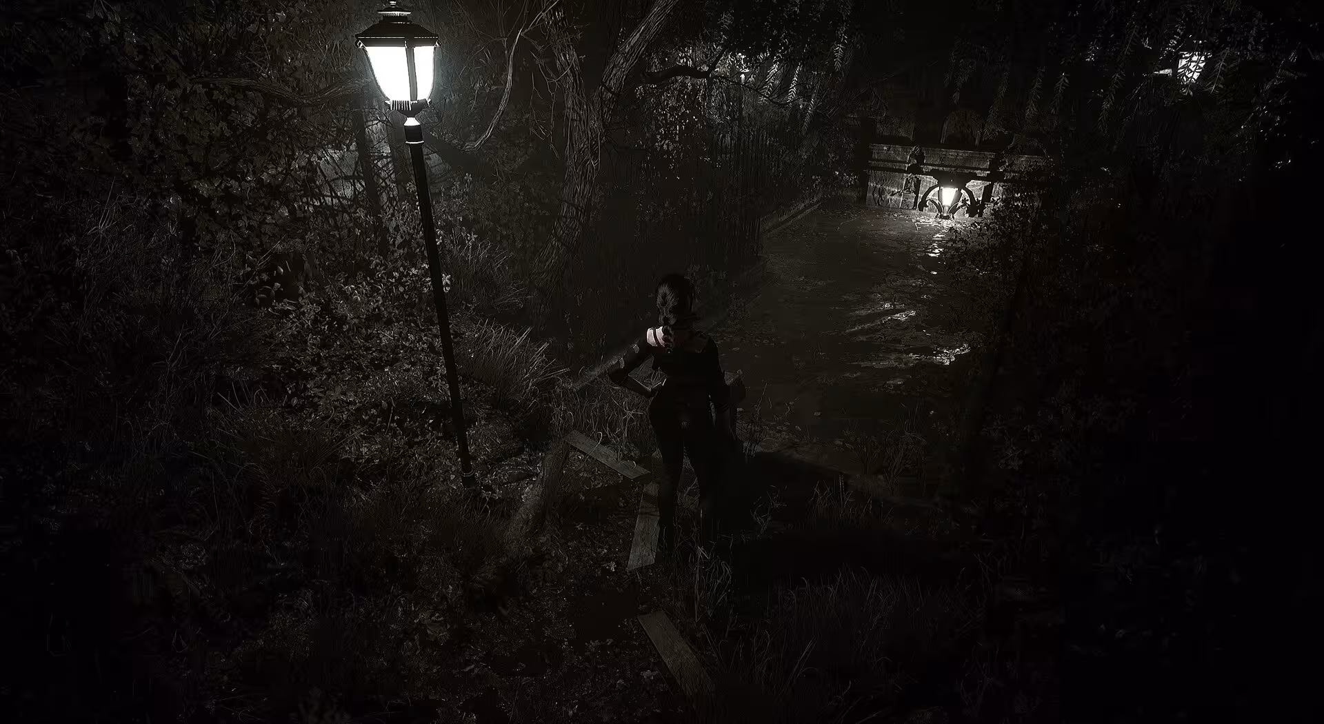 生者回响/Echoes of the Living-4
