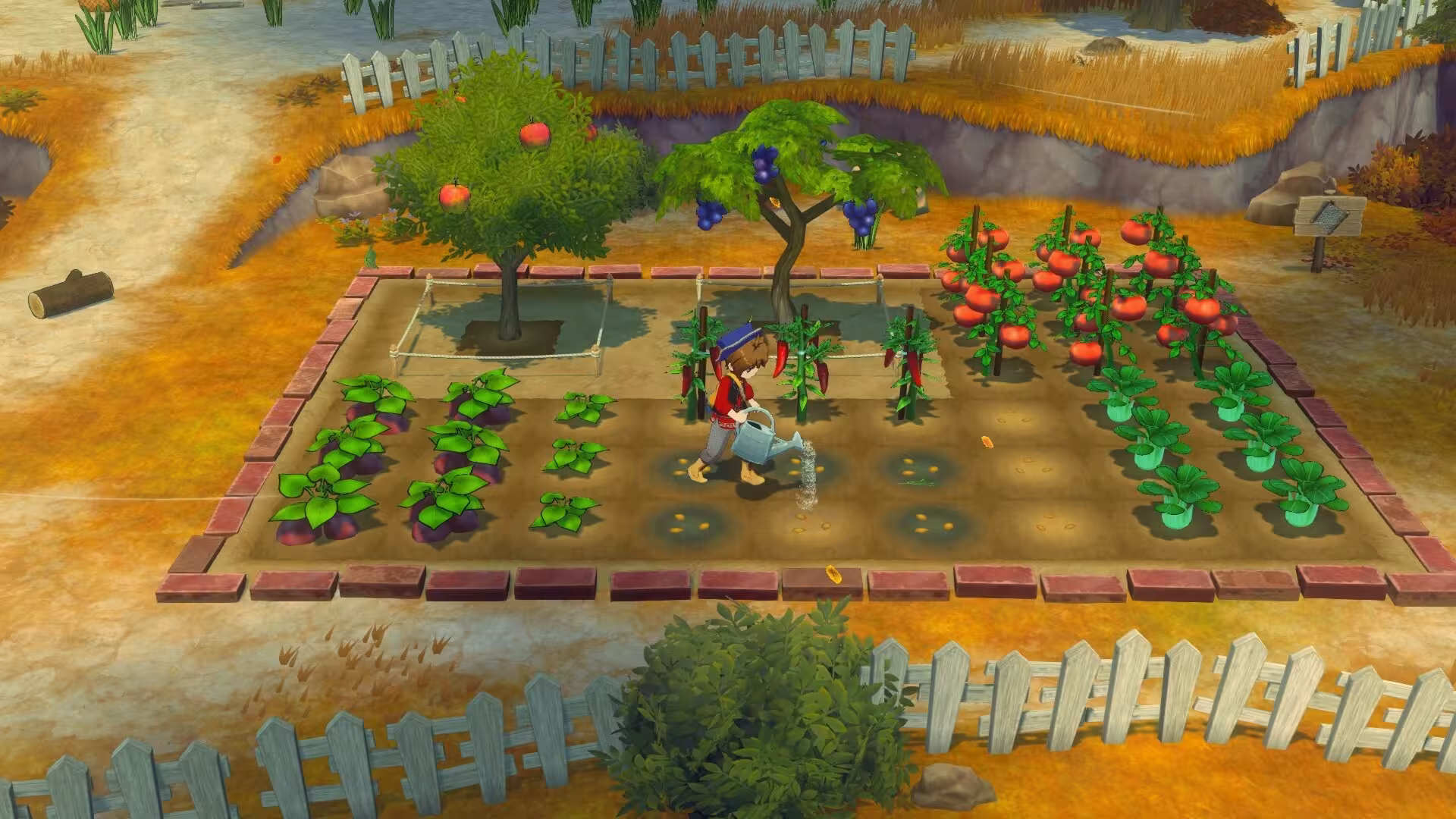 牧场物语 来吧！风之繁华集市/STORY OF SEASONS: Grand Bazaar-1