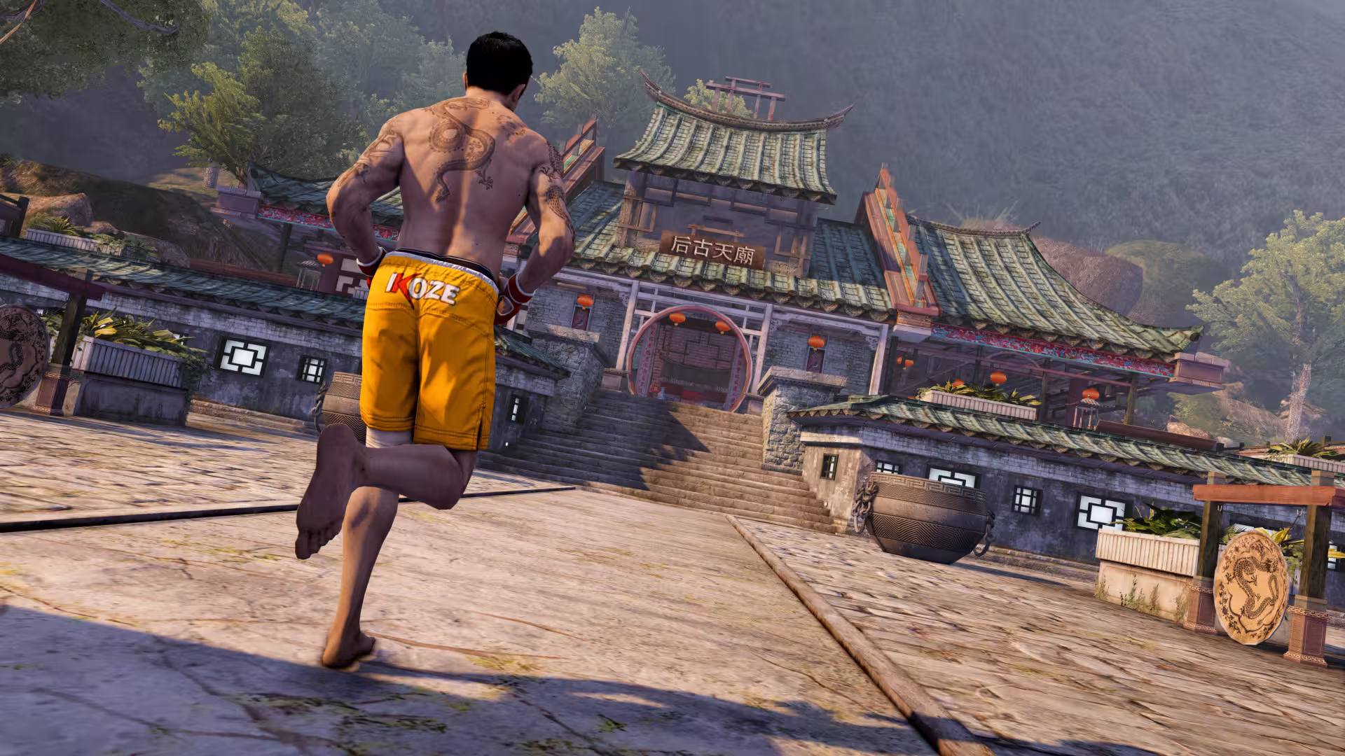 热血无赖：终极版/Sleeping Dogs: Definitive Edition-12