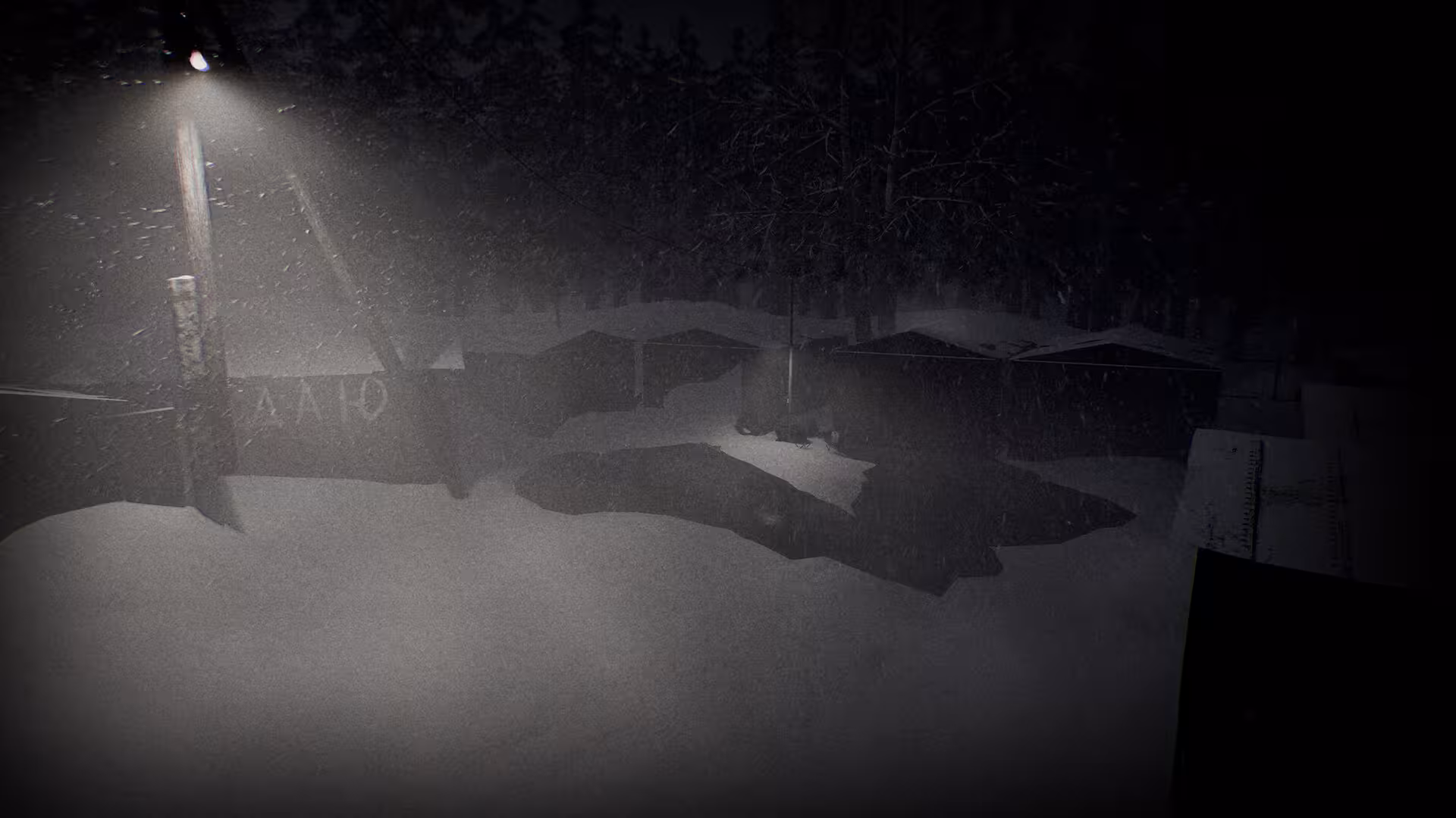苍白沉寂/White Silence-4