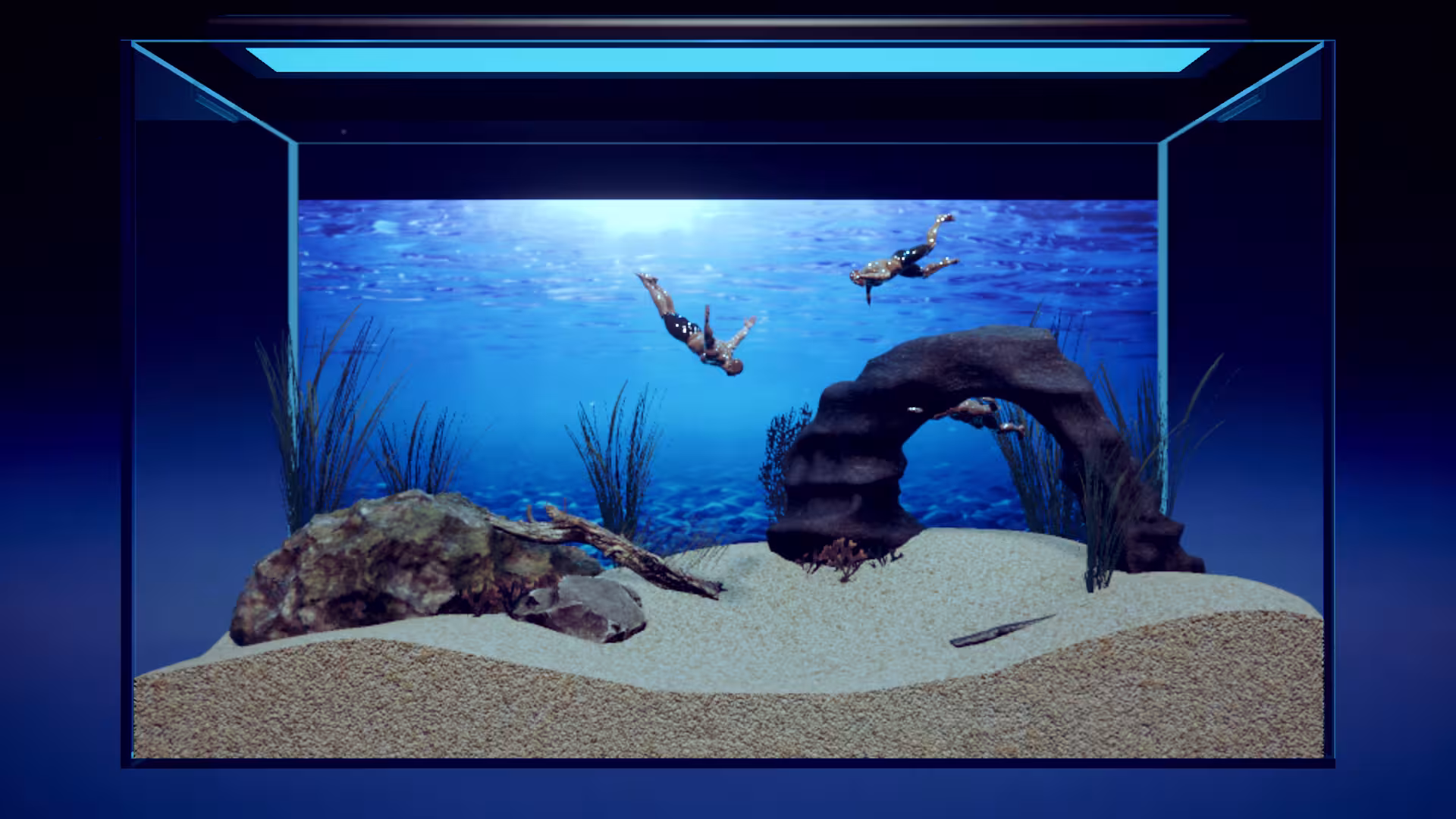 壮士水族馆 -肌肉水族馆模拟器-/Machorium -Muscle Aquarium Simulator--1 壮士水族馆 -肌肉水族馆模拟器-/Machorium -Muscle Aquarium Simulator--1