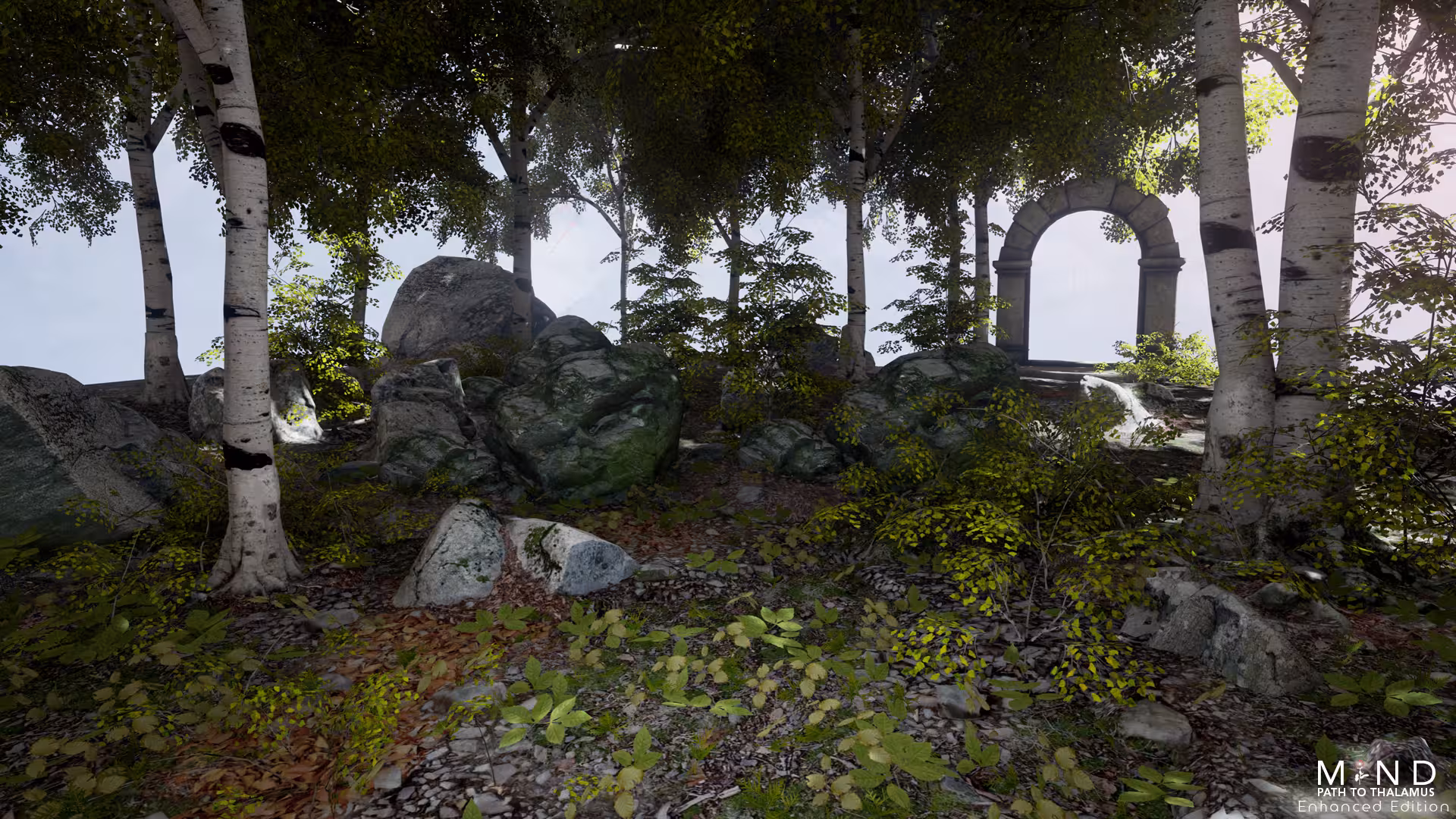 心智：视丘之径/MIND: Path to Thalamus Enhanced Edition-1