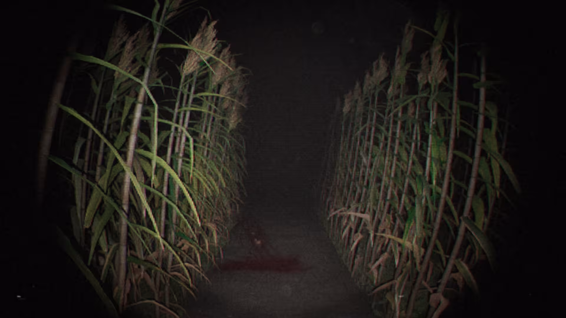 诡影实录/Unknown Tapes-1