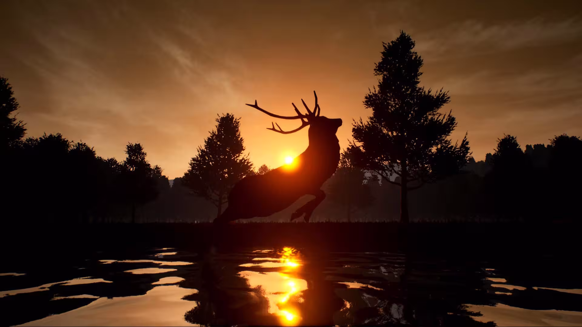 鹿之旅/Deer Journey-1 鹿之旅/Deer Journey-1