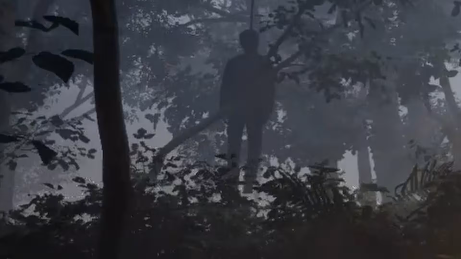 雾锁温泉/Misty Onsen-2 雾锁温泉/Misty Onsen-2
