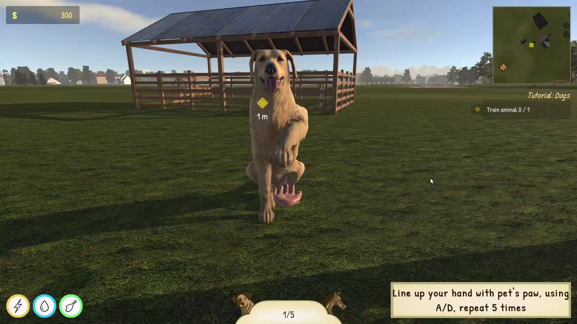动物训导师模拟器/Animal Trainer Simulator-2 动物训导师模拟器/Animal Trainer Simulator-2