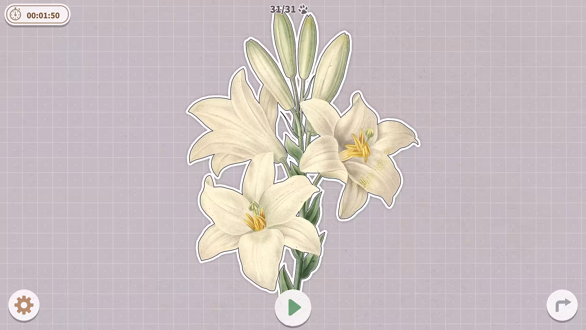 挤在一起的植物/Plants Huddled Together-3 挤在一起的植物/Plants Huddled Together-3
