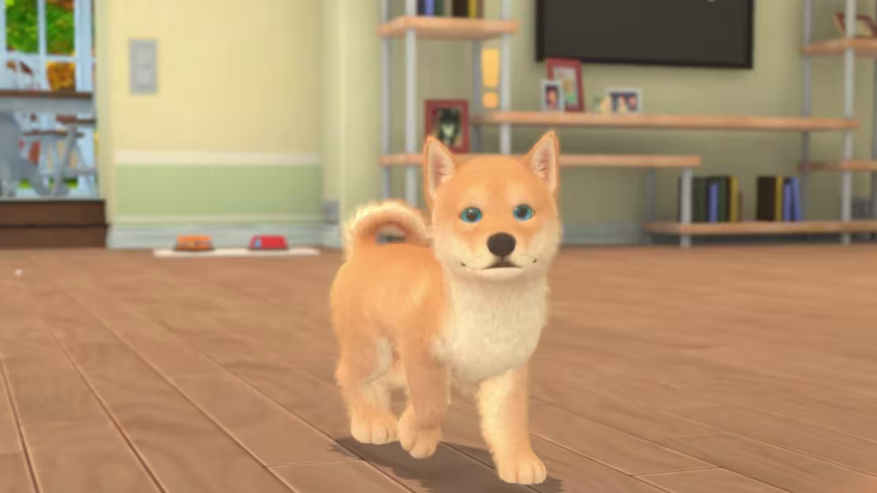 我的世界：小狗和小猫/My Universe - Puppies & Kittens-2