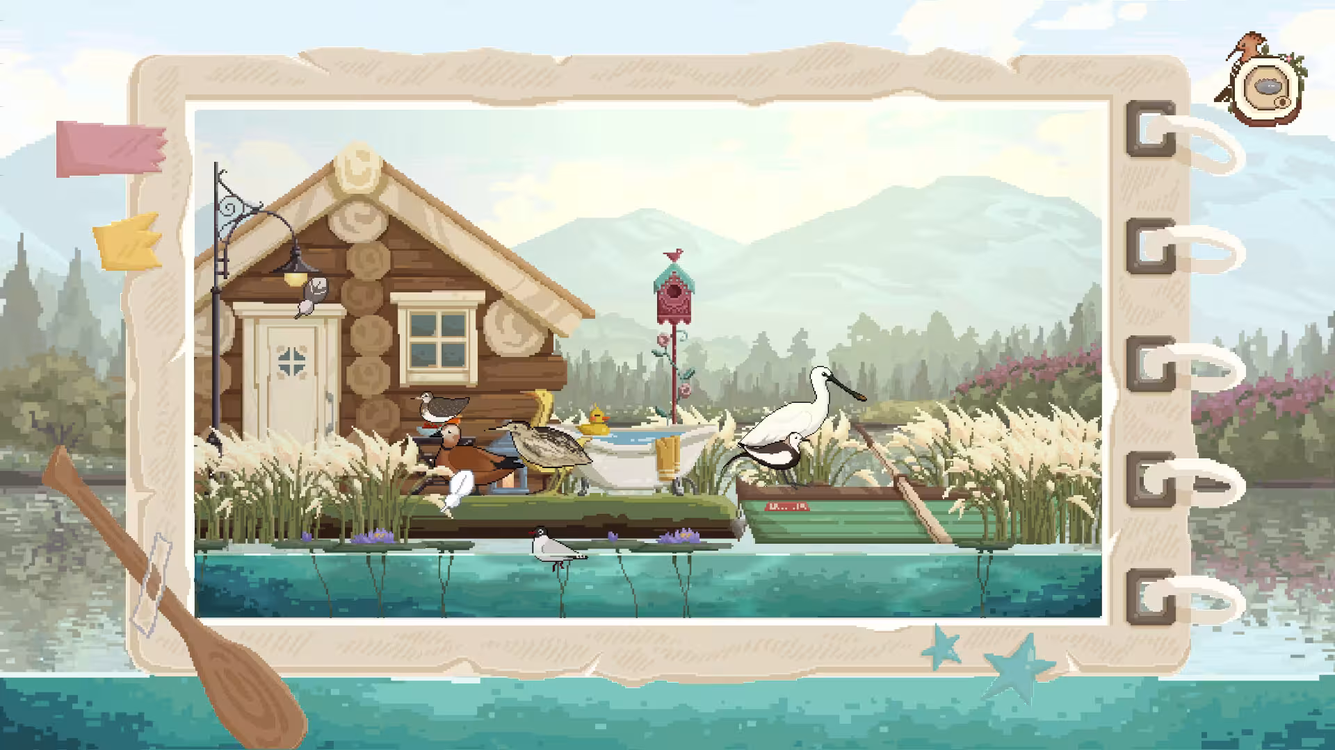 观鸟笔记/Birdwatching Notebook-4