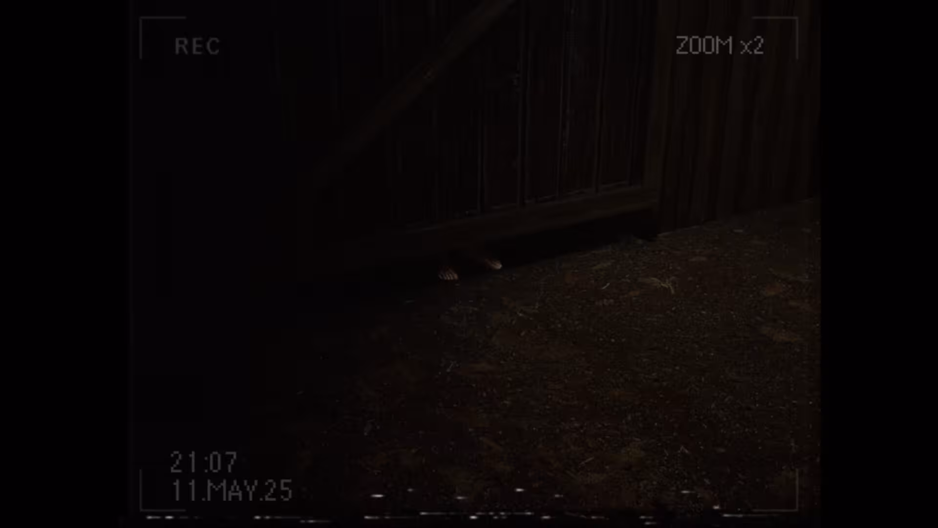 莉莉出了什么事？/What Happened to Lily?-5