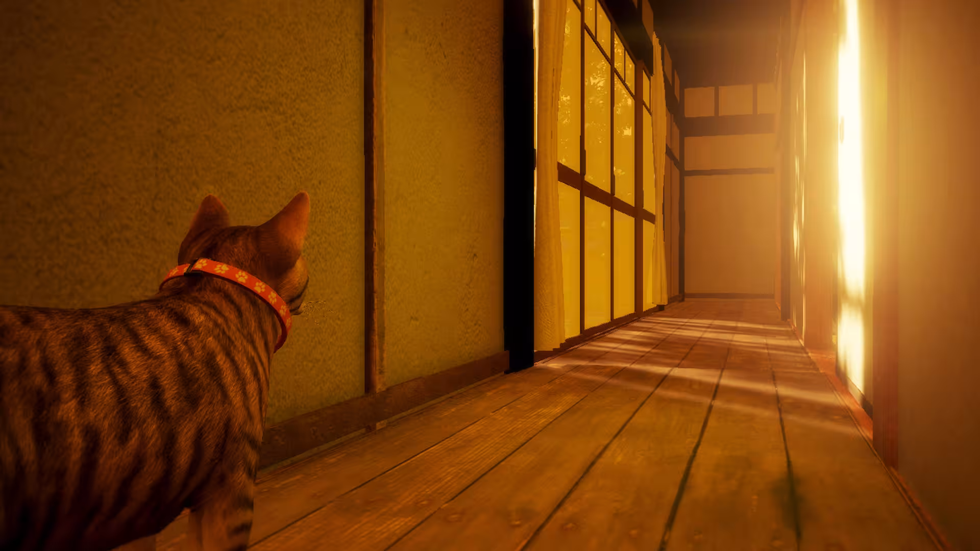 猫还在逃吗?/Still It Runs-2 猫还在逃吗?/Still It Runs-2