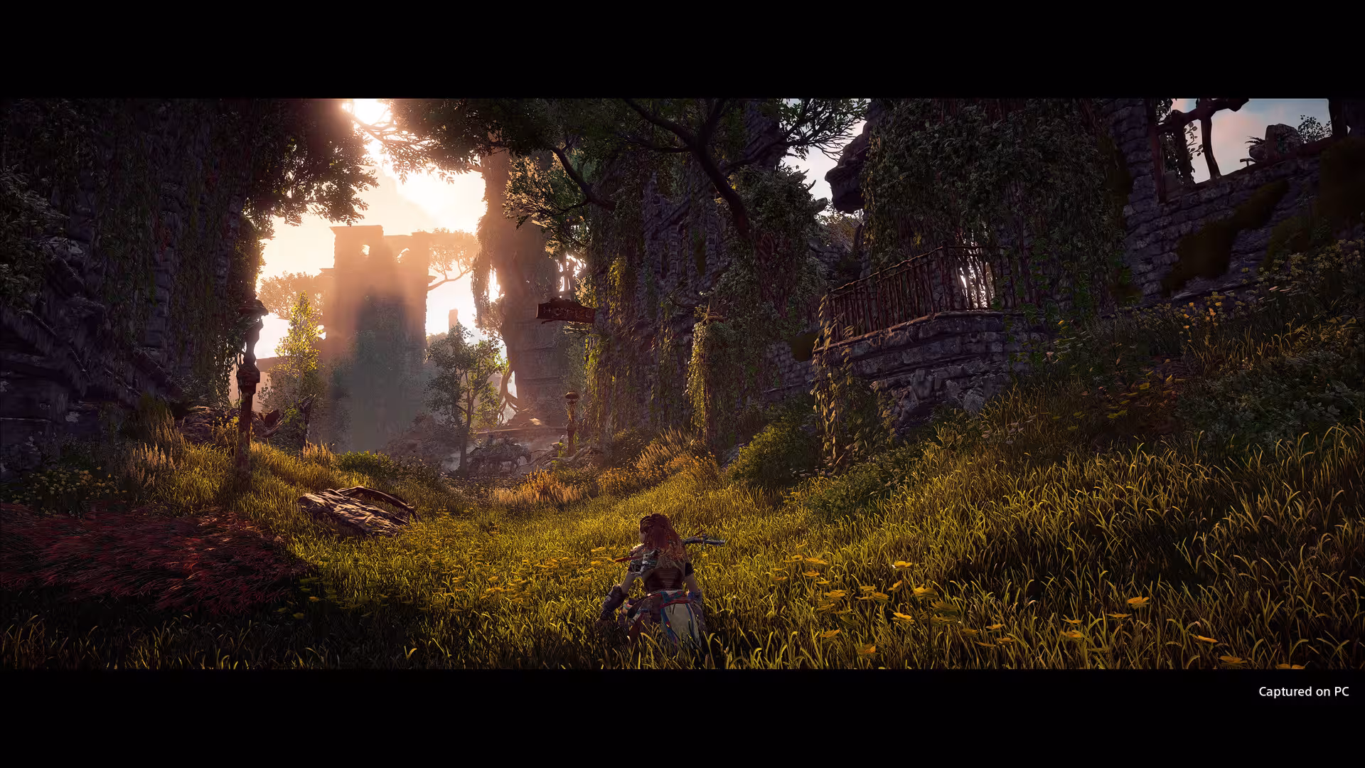 地平线：零之曙光完全版/Horizon Zero Dawn Complete Edition-5
