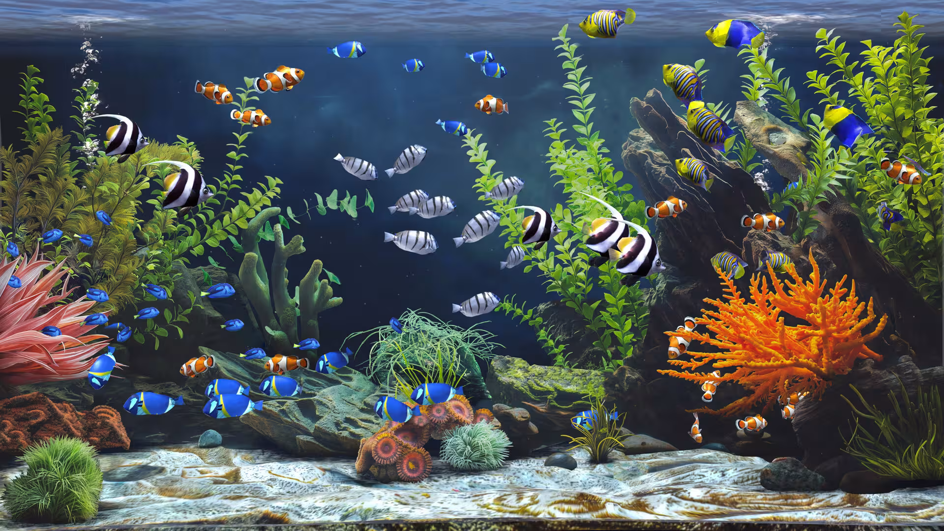禅意水族馆/Zen Aquarium-6 禅意水族馆/Zen Aquarium-6