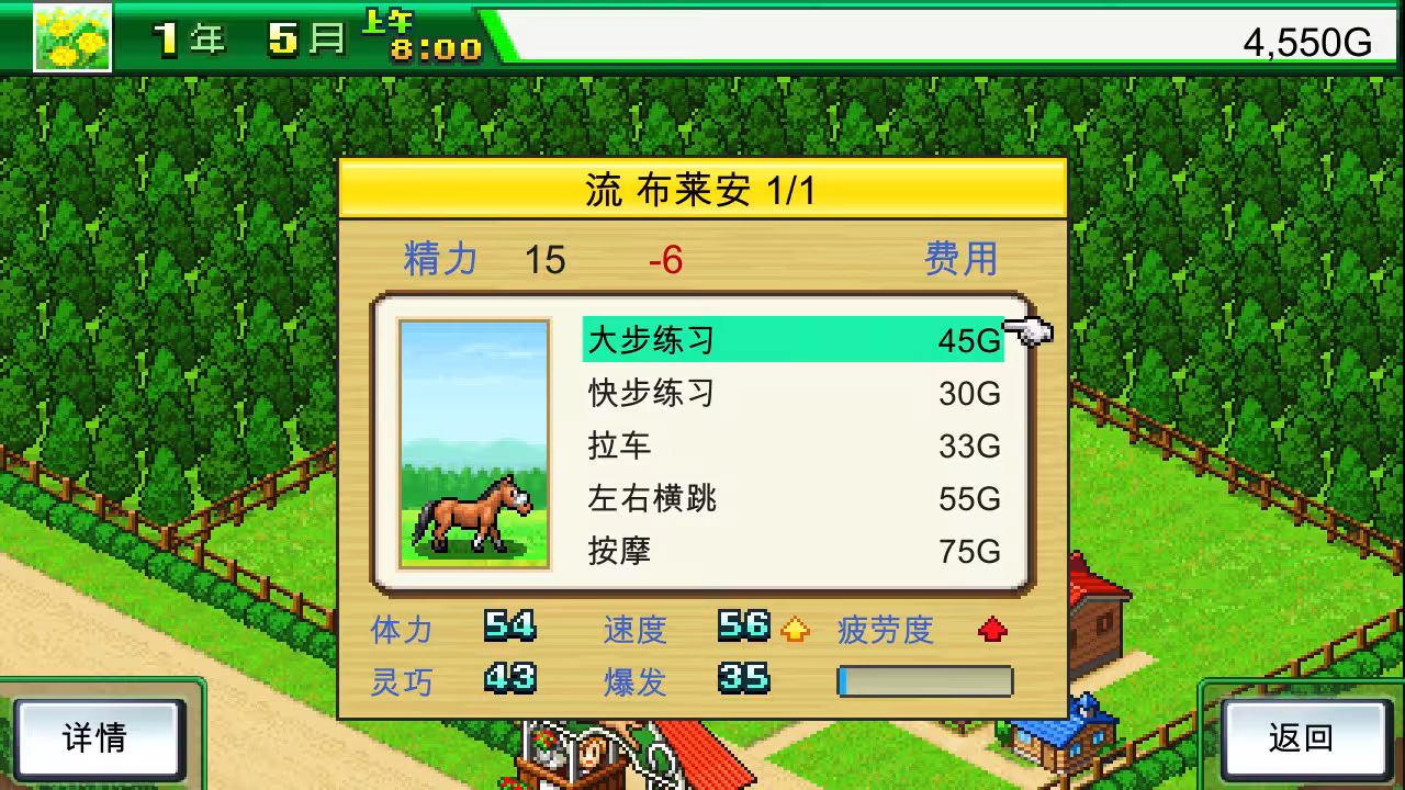 赛马牧场物语/Pocket Stables-2 赛马牧场物语/Pocket Stables-2