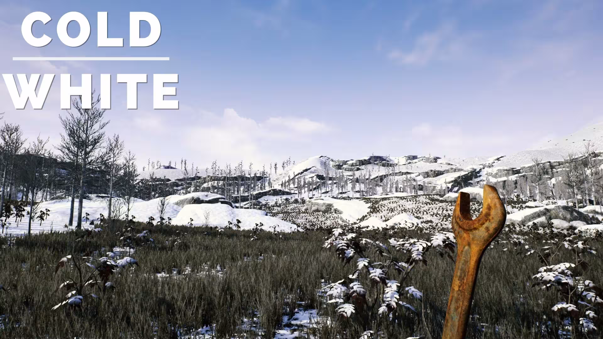 冷白/The Cold White-4