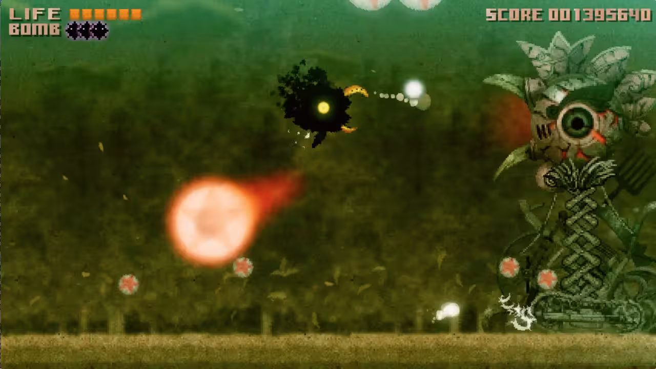 黑鸟/BLACK BIRD-2 黑鸟/BLACK BIRD-2