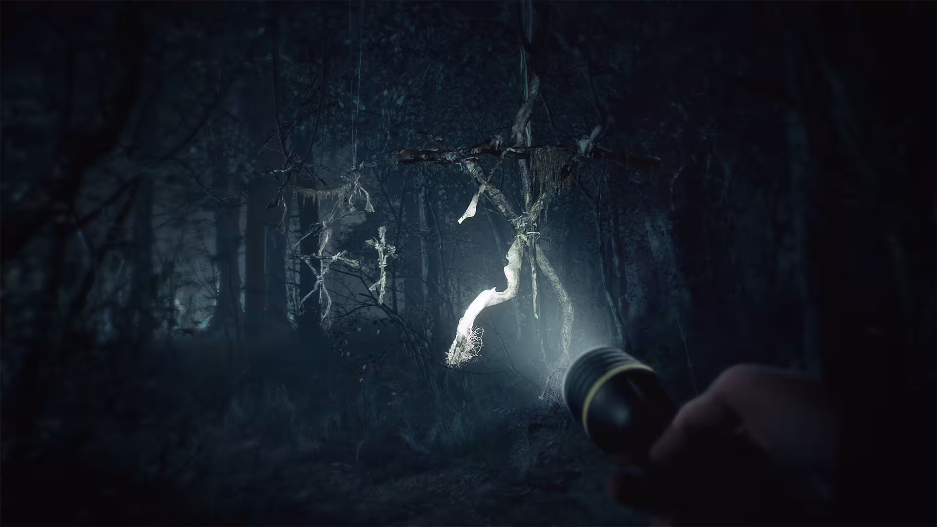 布莱尔女巫/Blair Witch-2