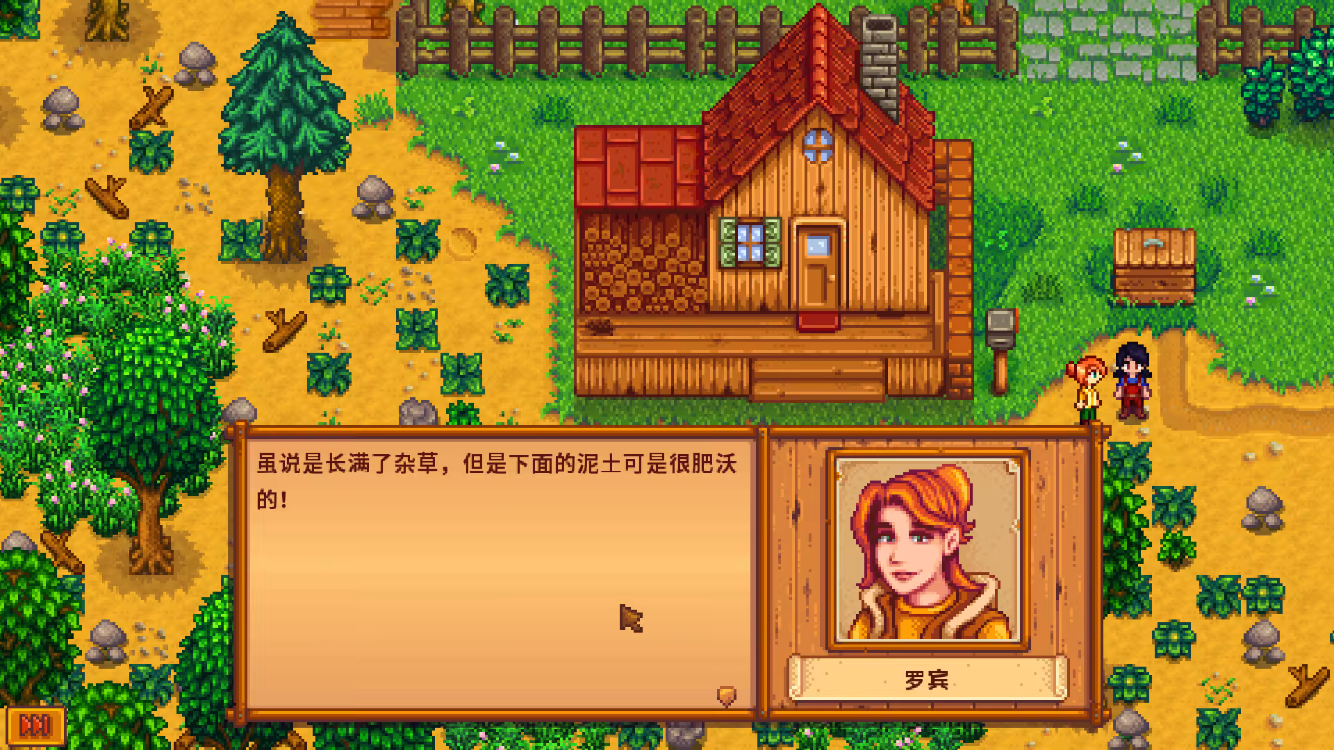 星露谷物语/Stardew Valley-5